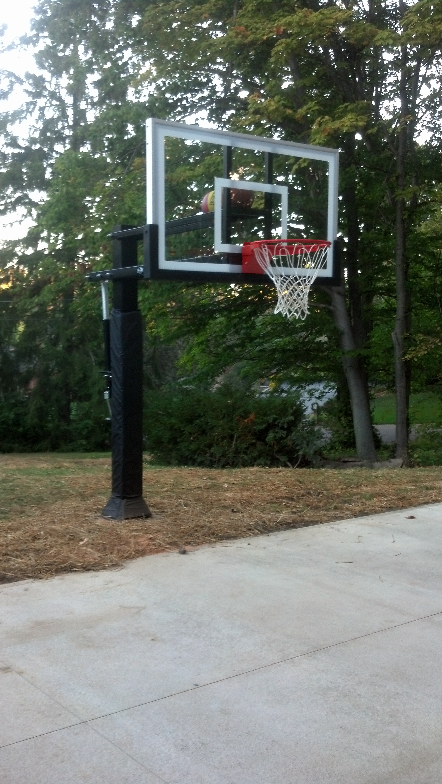 Professional Basketball Hoop for Driveway & Backyard (Gold)