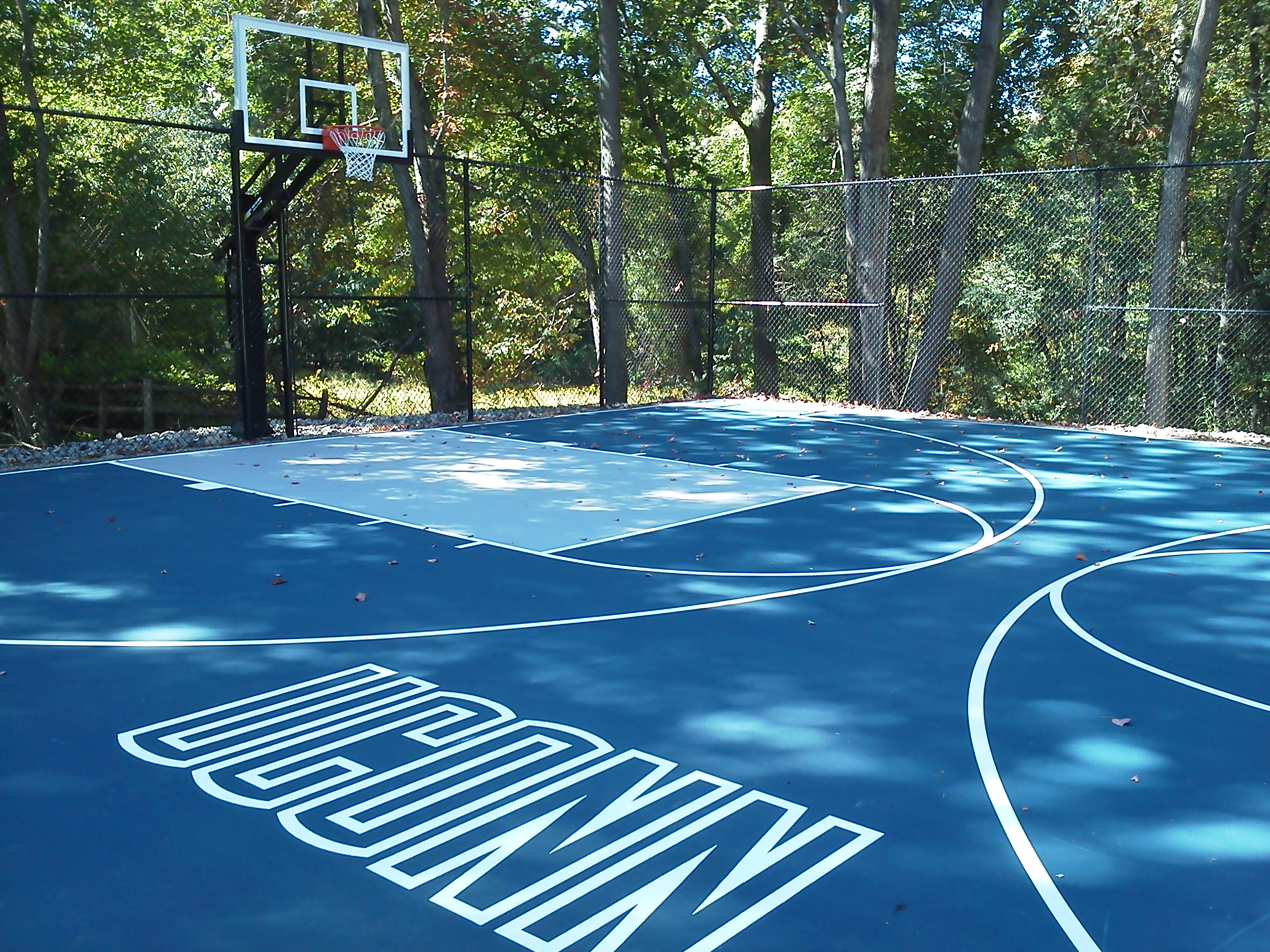 This Pro Dunk Platinum Basketball system stands proudly over UConn blue.