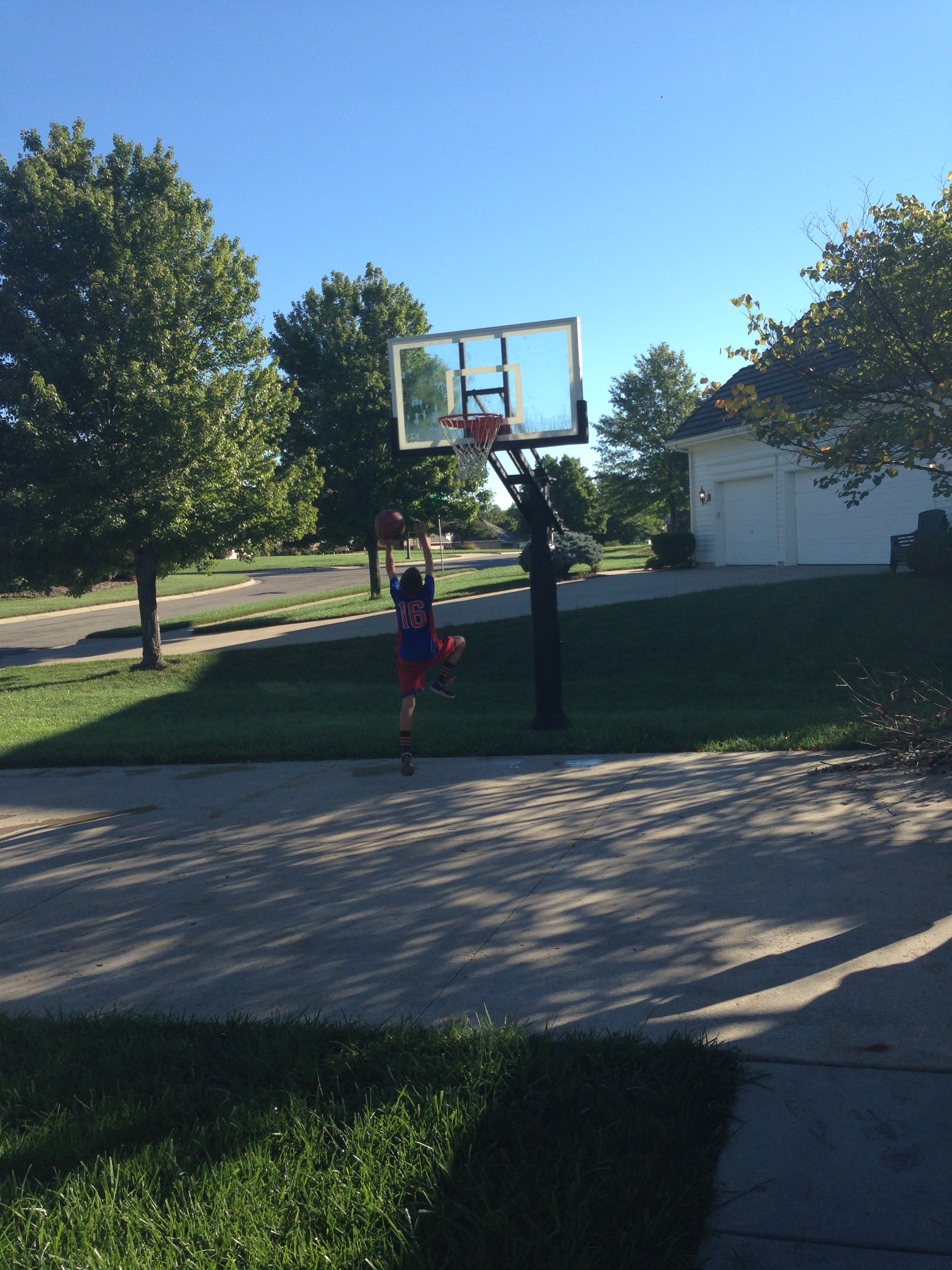 This front view shot shows the Pro Dunk Gold Basketball system adjusted to full height.