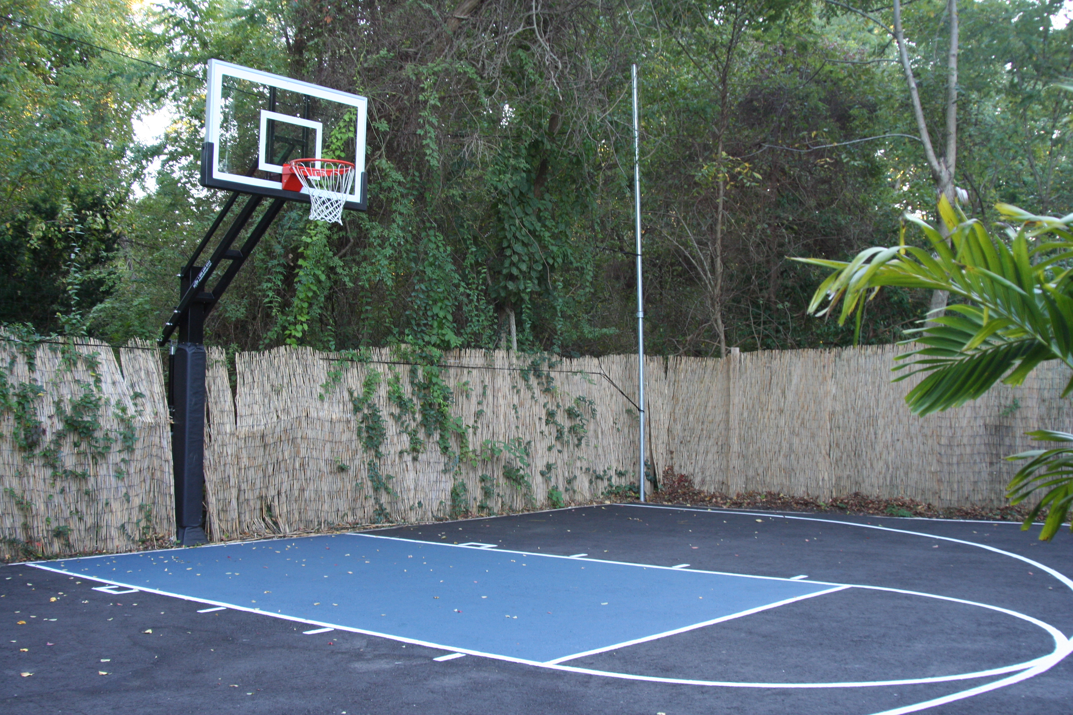 Latest court sales paint design