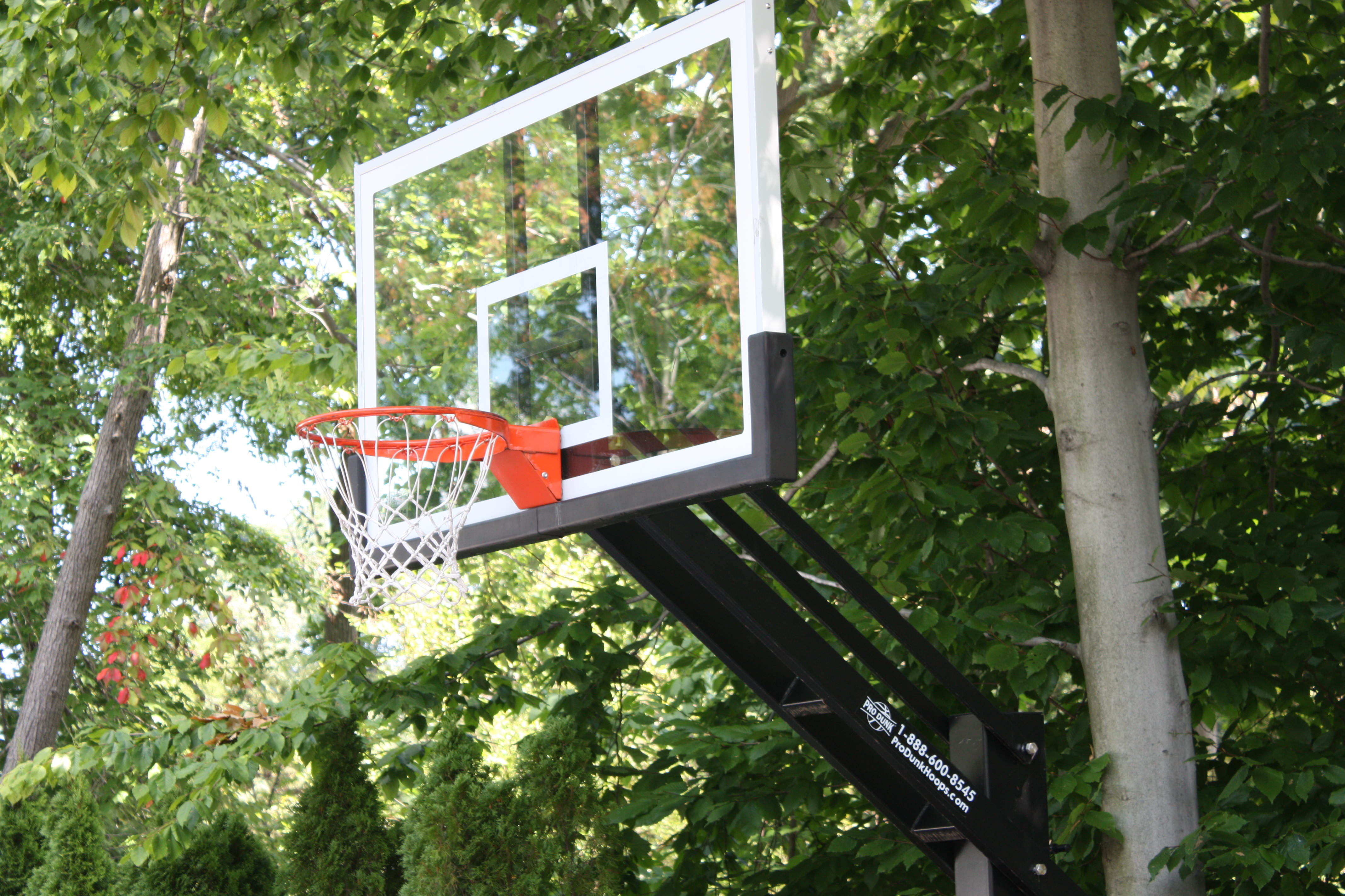 A great shot of the Pro Dunk Platinum regulation-size tempered glass backboard with beautiful foliage seen around and through the clear glass.