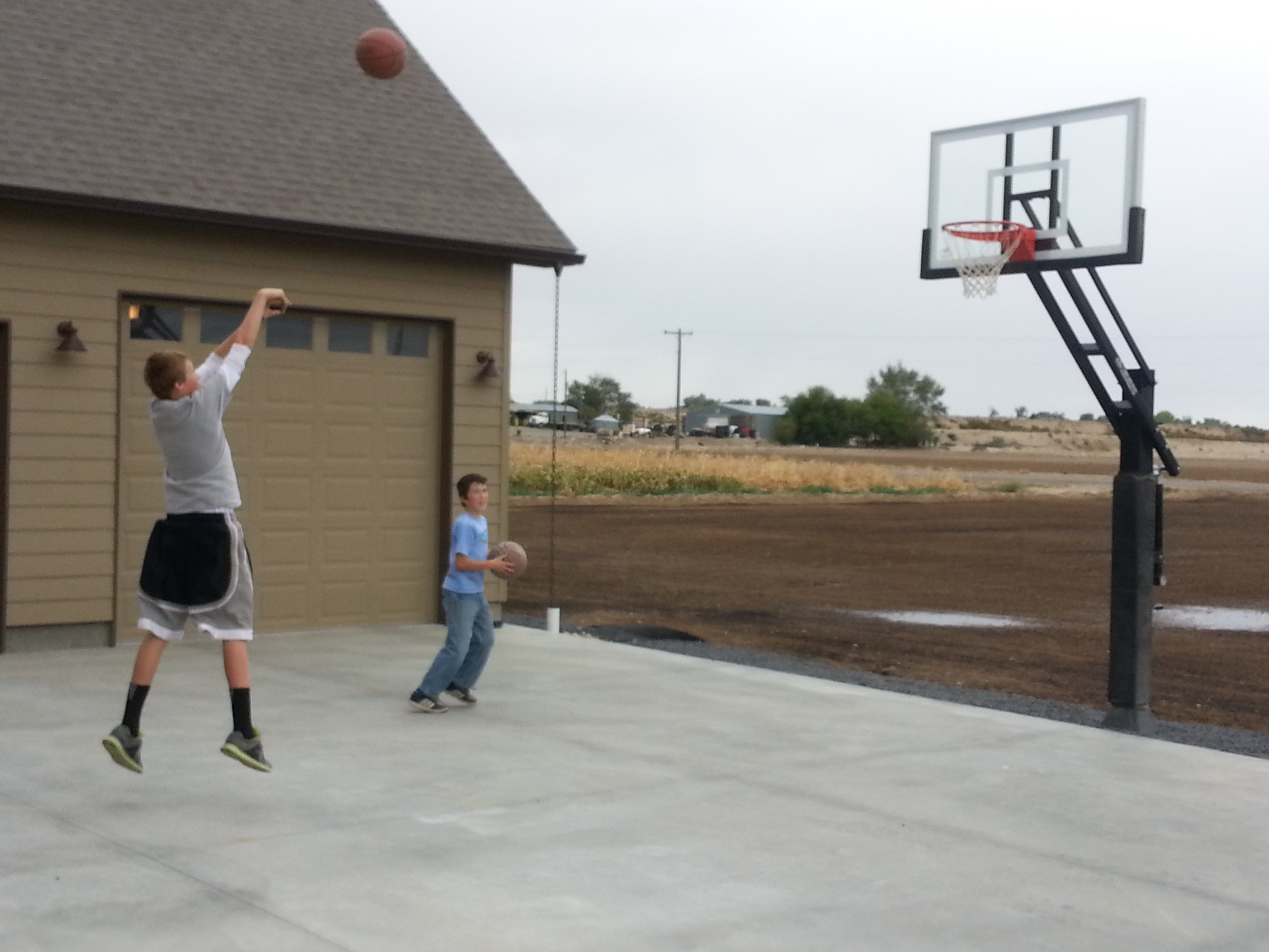 Pro dunk gold deals