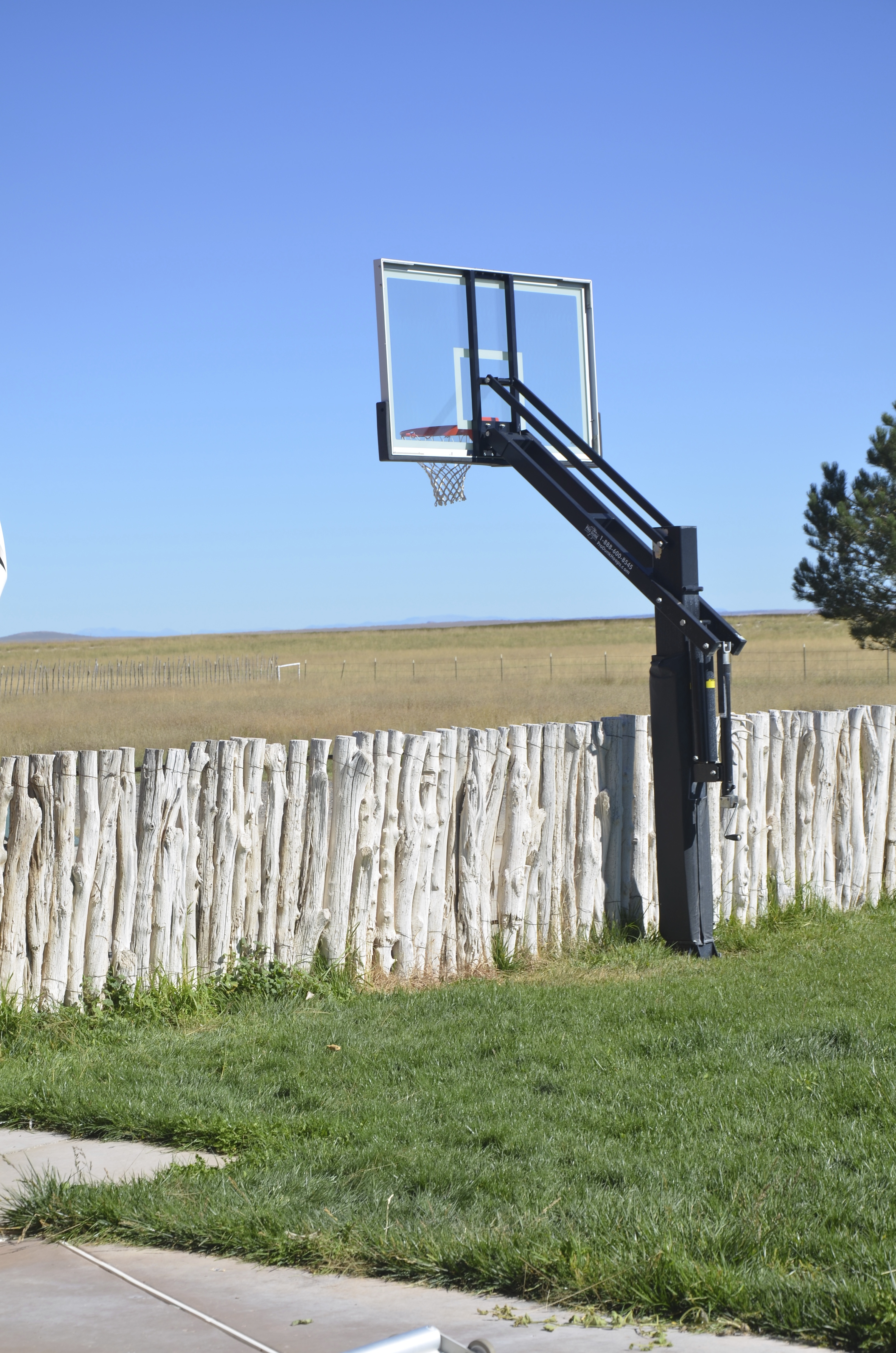 There is a Pro Dunk Platinum Basketball System in front of the stick fence.