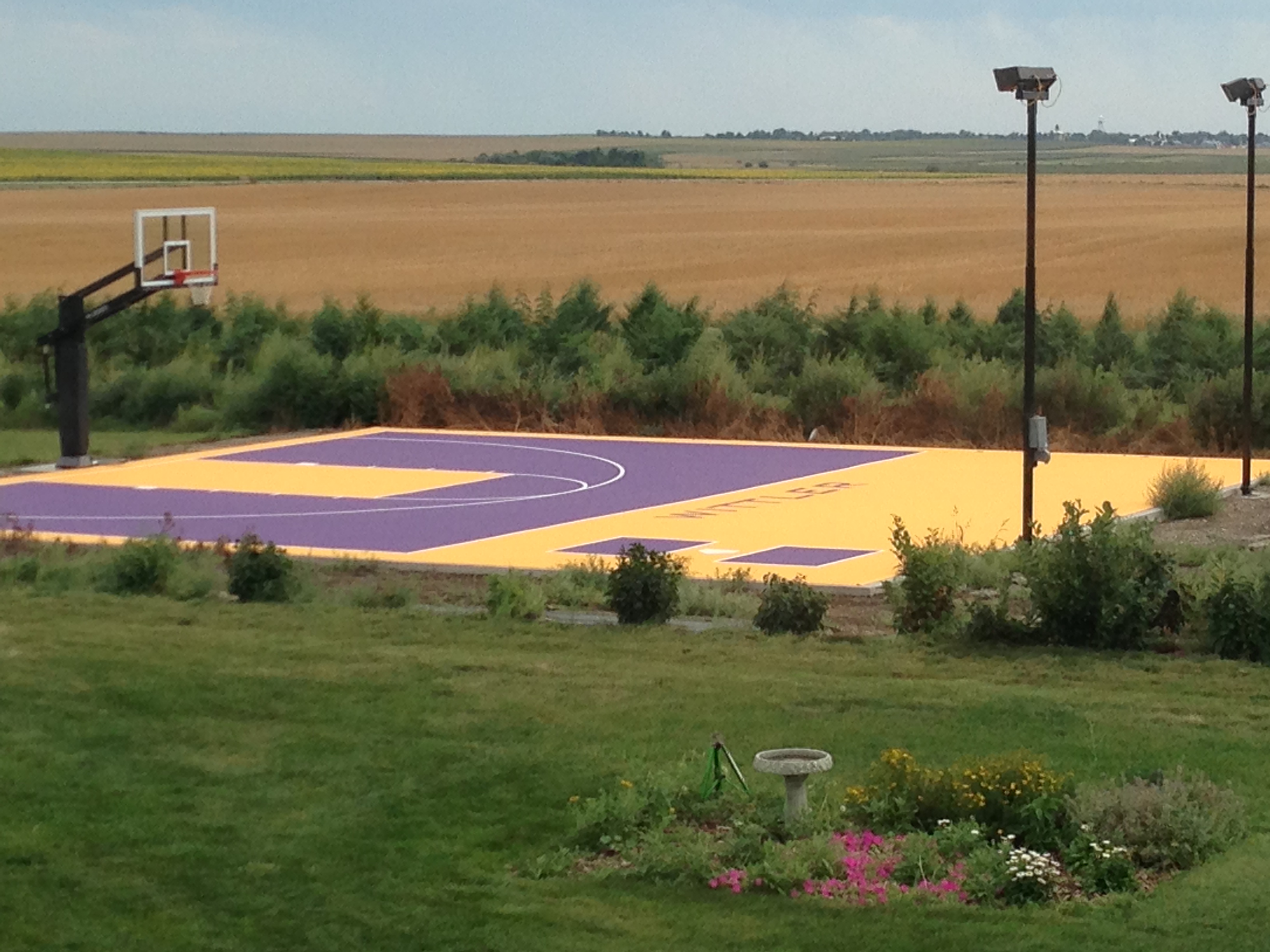 This Pro Dunk Diamond Basketball system stands tall over a custom built court painted gold and purple.