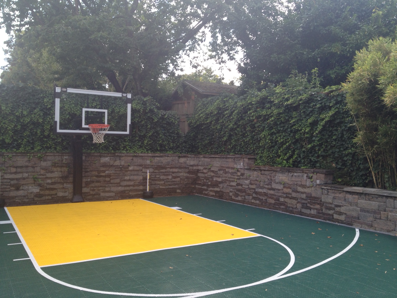 This Pro Dunk Platinum goal adds to this Oregon home.