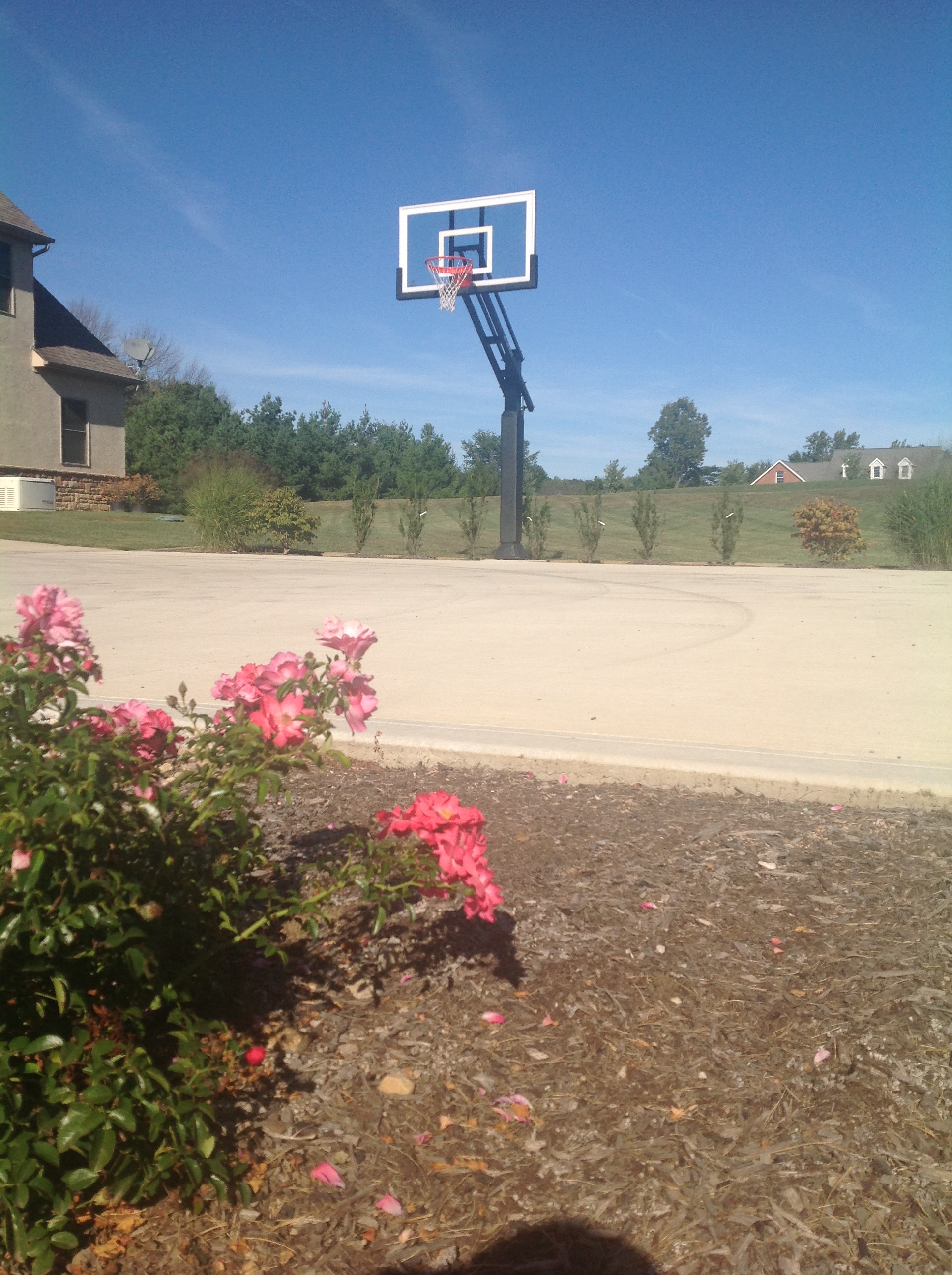 This hoop with trees in the background and flowers in the foreground has gotta please Mom, Dad, and kids.