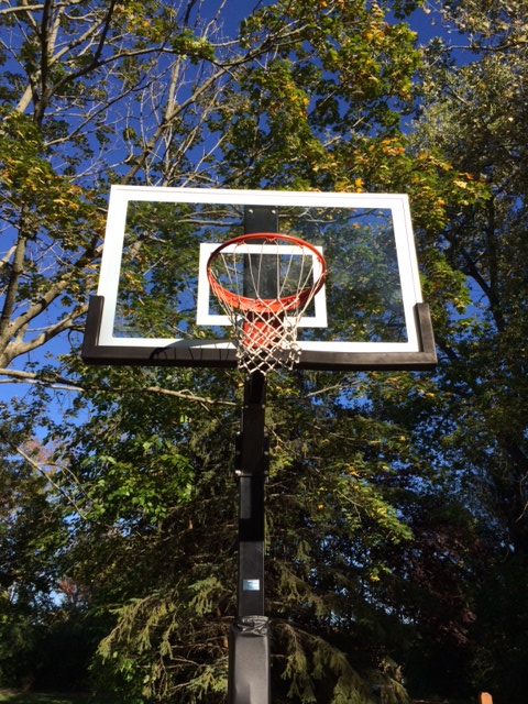 In background you can see the trees behind the hoop.
