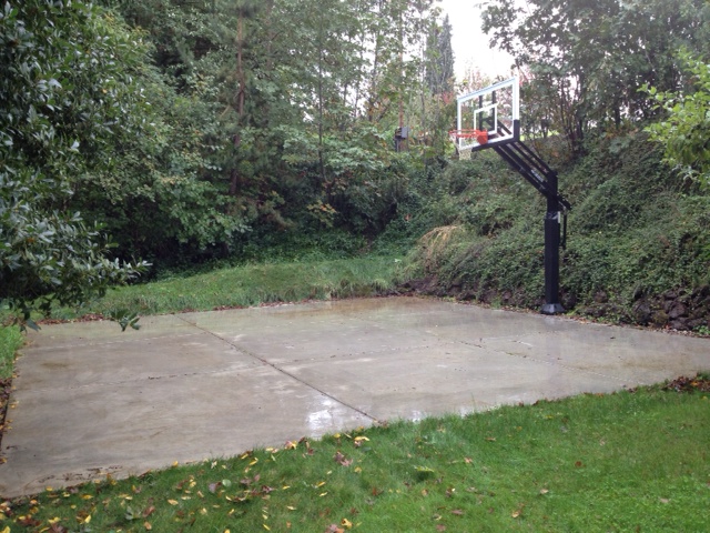 Their wooded backyard has a Pro Dunk Gold Basketball System that is installed in between their large concrete slab court and hill.