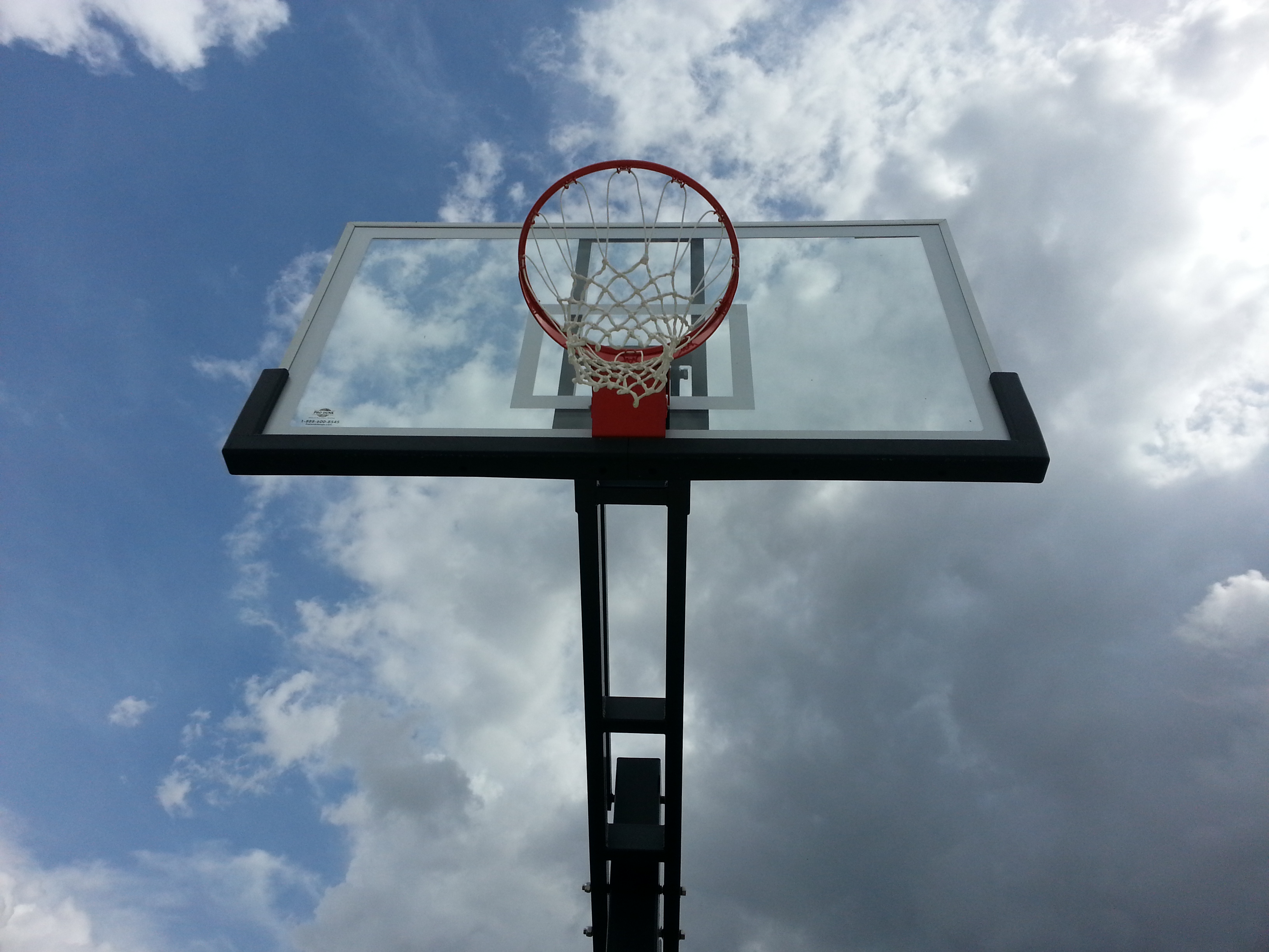 A unique angle showing the Pro dunk Platinum against a pleasant sky