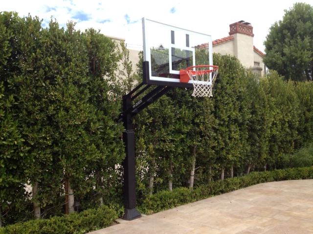 A beautiful California tall hedge doubles as ball containment.