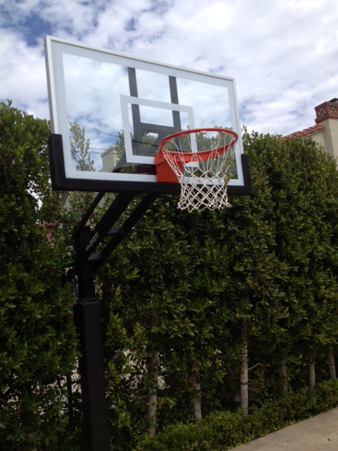 Angled view of the Pro Dunk Gold basketball system projects out from mature shrubs.