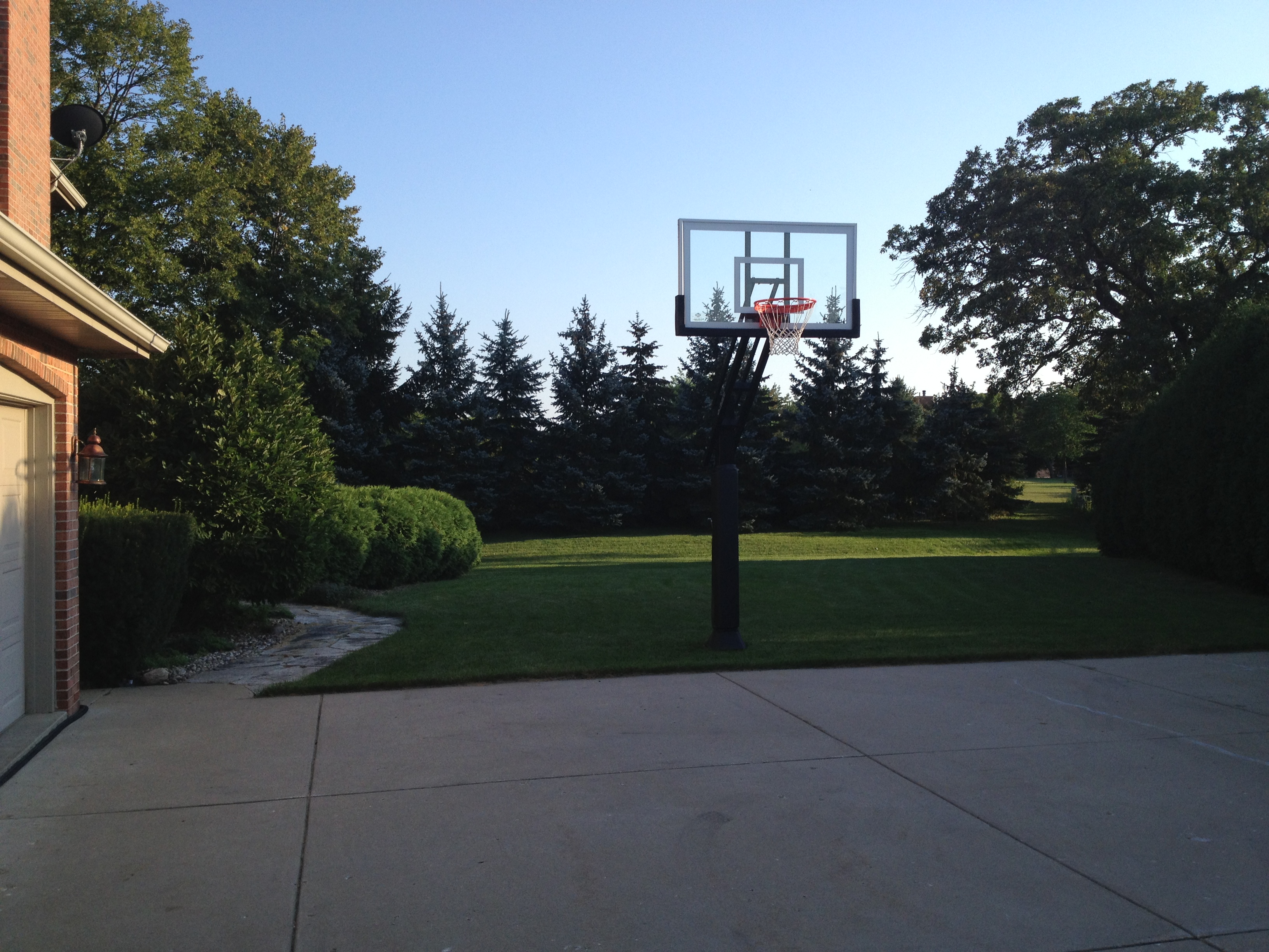 Basically surrounded by trees and a hedge, the hoop stands out.