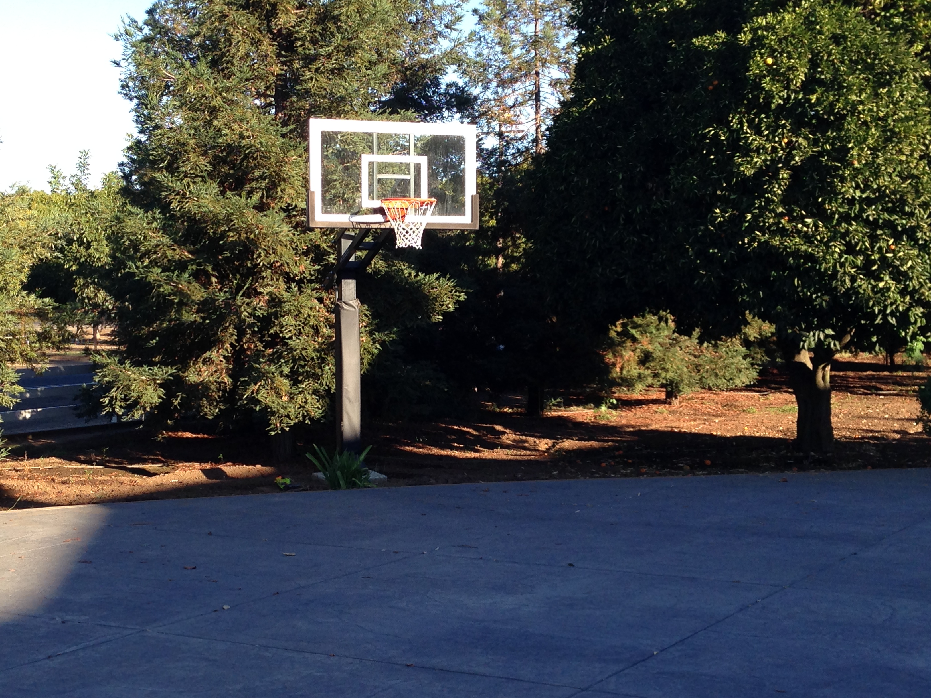 In the background there is Pro Dunk Gold Basketball System in front of the trees.